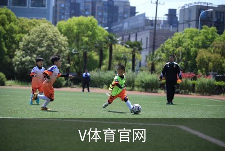 了解V体育官网